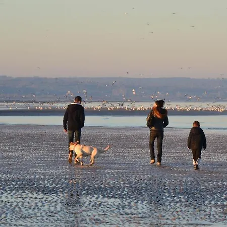 فندق مبيت وإفطار Mh, Logeren Bij Nederlanders Dichtbij Sainte Mere Eglise In Normandie